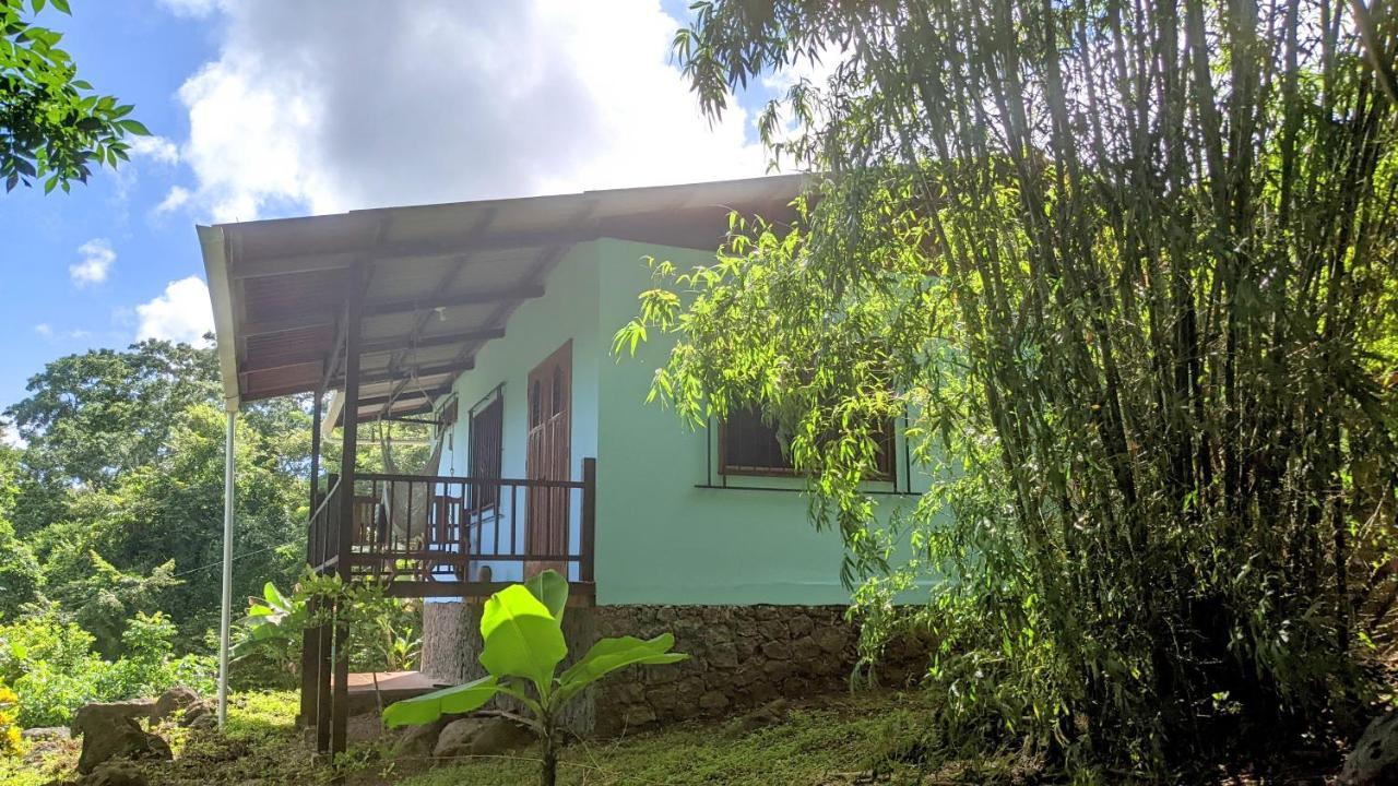 Selvista Guesthouses Balgue Eksteriør bilde