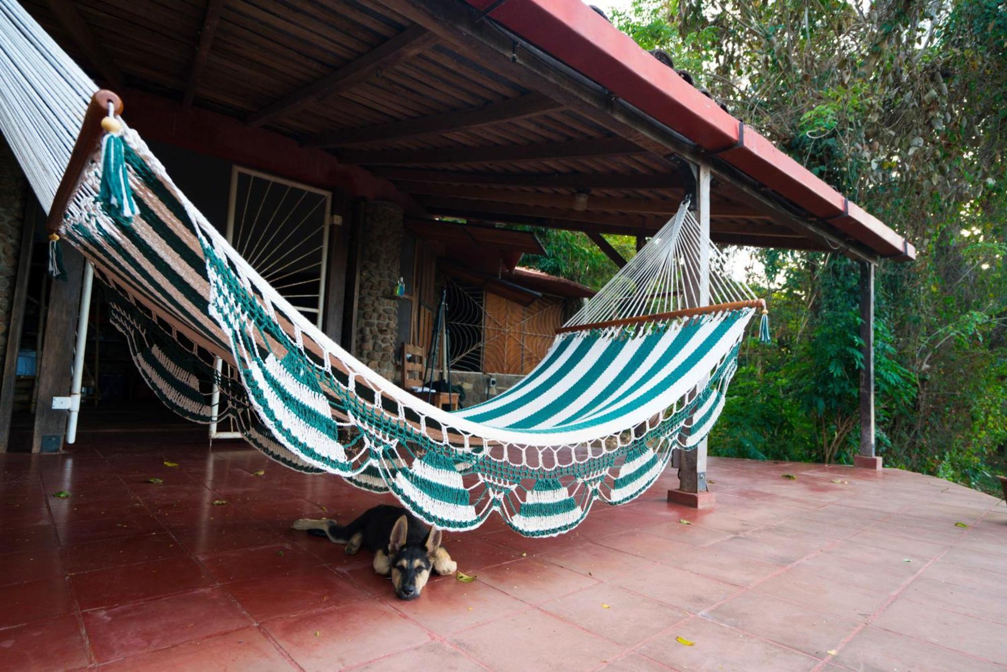 Selvista Guesthouses Balgue Rom bilde